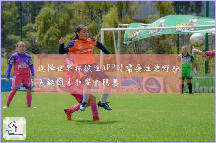 选择世界杯投注APP时需要注意哪些关键因素和安全隐患