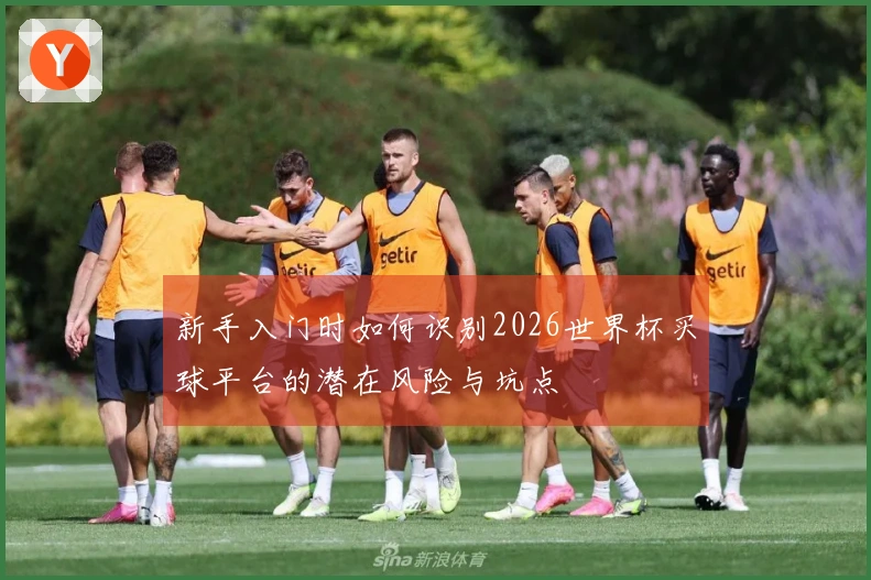 新手入门时如何识别2026世界杯买球平台的潜在风险与坑点