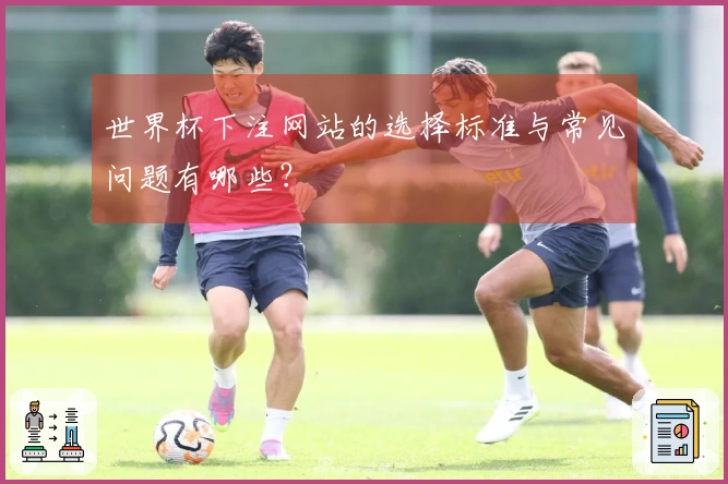 世界杯下注网站的选择标准与常见问题有哪些?