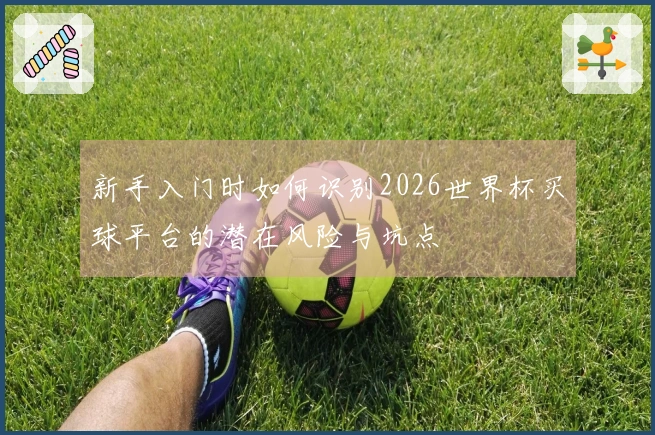 新手入门时如何识别2026世界杯买球平台的潜在风险与坑点