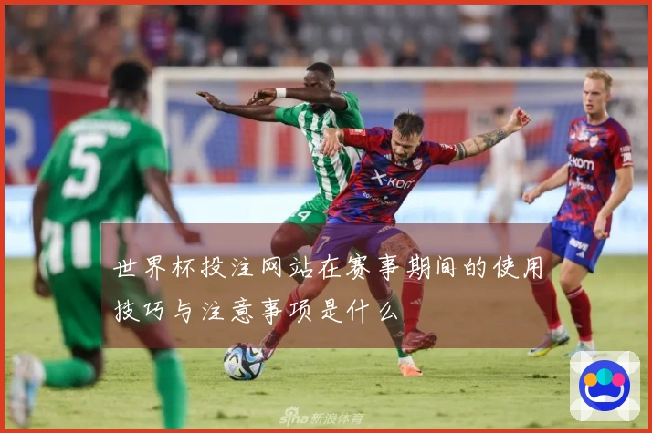 世界杯投注网站在赛事期间的使用技巧与注意事项是什么