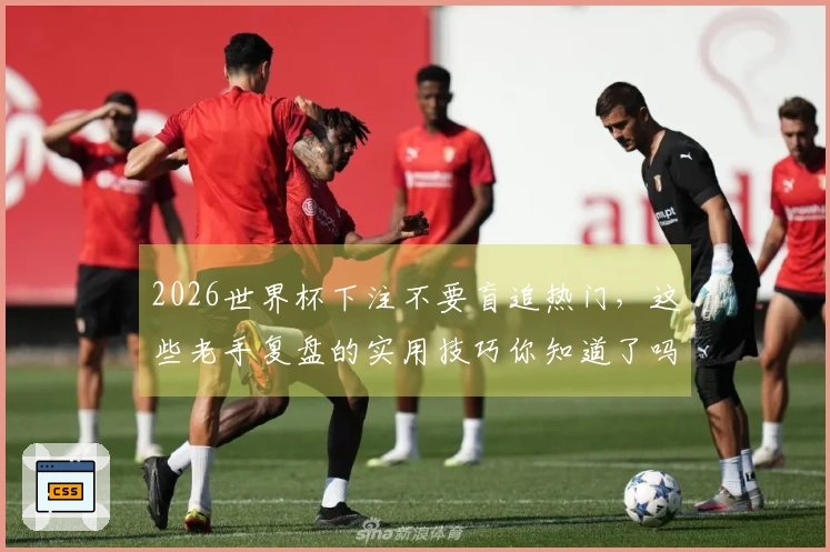2026世界杯下注不要盲追热门，这些老手复盘的实用技巧你知道了吗